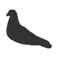 Turtledove London
